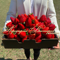 Клубника японской селекции «ФУКУОКА» (НАШ ШОК И ВОСТОРГ В 2024 ГОДУ!!!) Клубника японской селекции «ФУКУОКА» (НАШ ШОК И ВОСТОРГ В 2024 ГОДУ!!!)